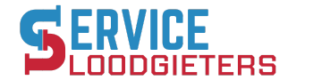 serviceloodgieters.digitalxpert.agency